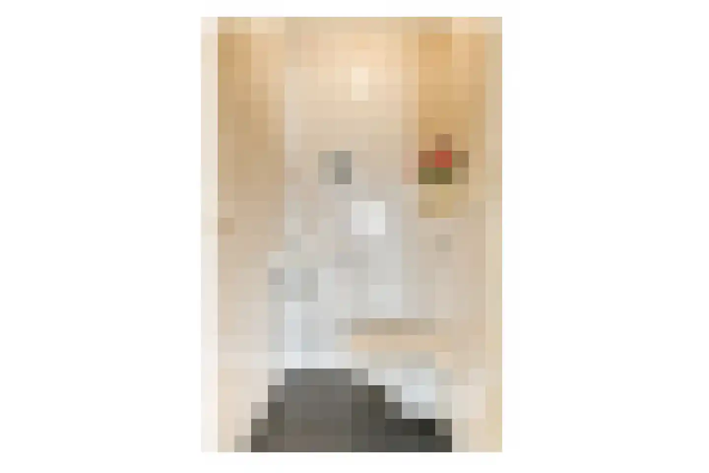 Wanmolenlaan 29 Sassenheim thumbnail 21