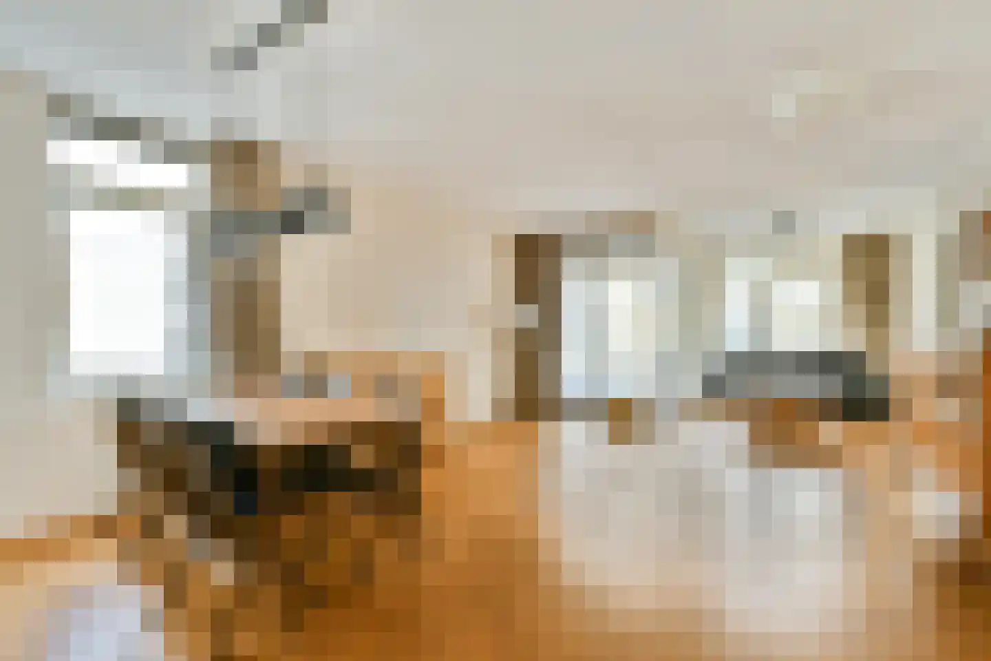 Wanmolenlaan 29 Sassenheim thumbnail 4