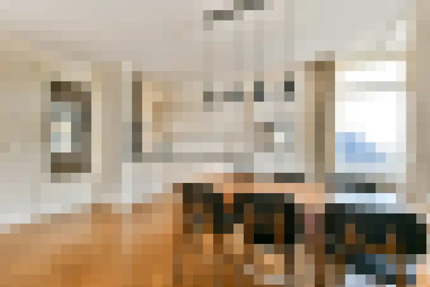 Wanmolenlaan 29 Sassenheim thumbnail 9