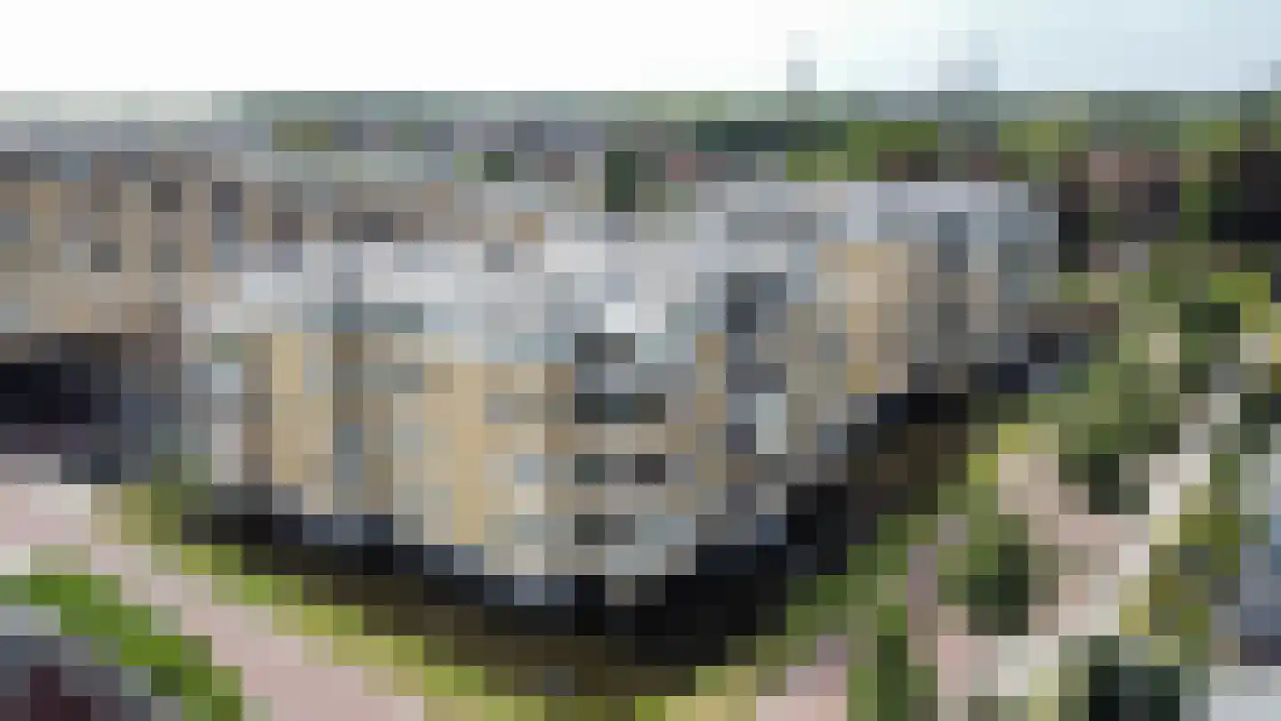 Wanmolenlaan 67 Sassenheim