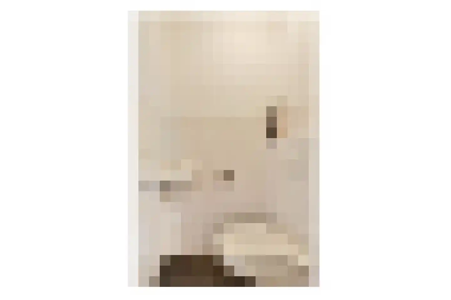 Wanmolenlaan 67 Sassenheim thumbnail 12