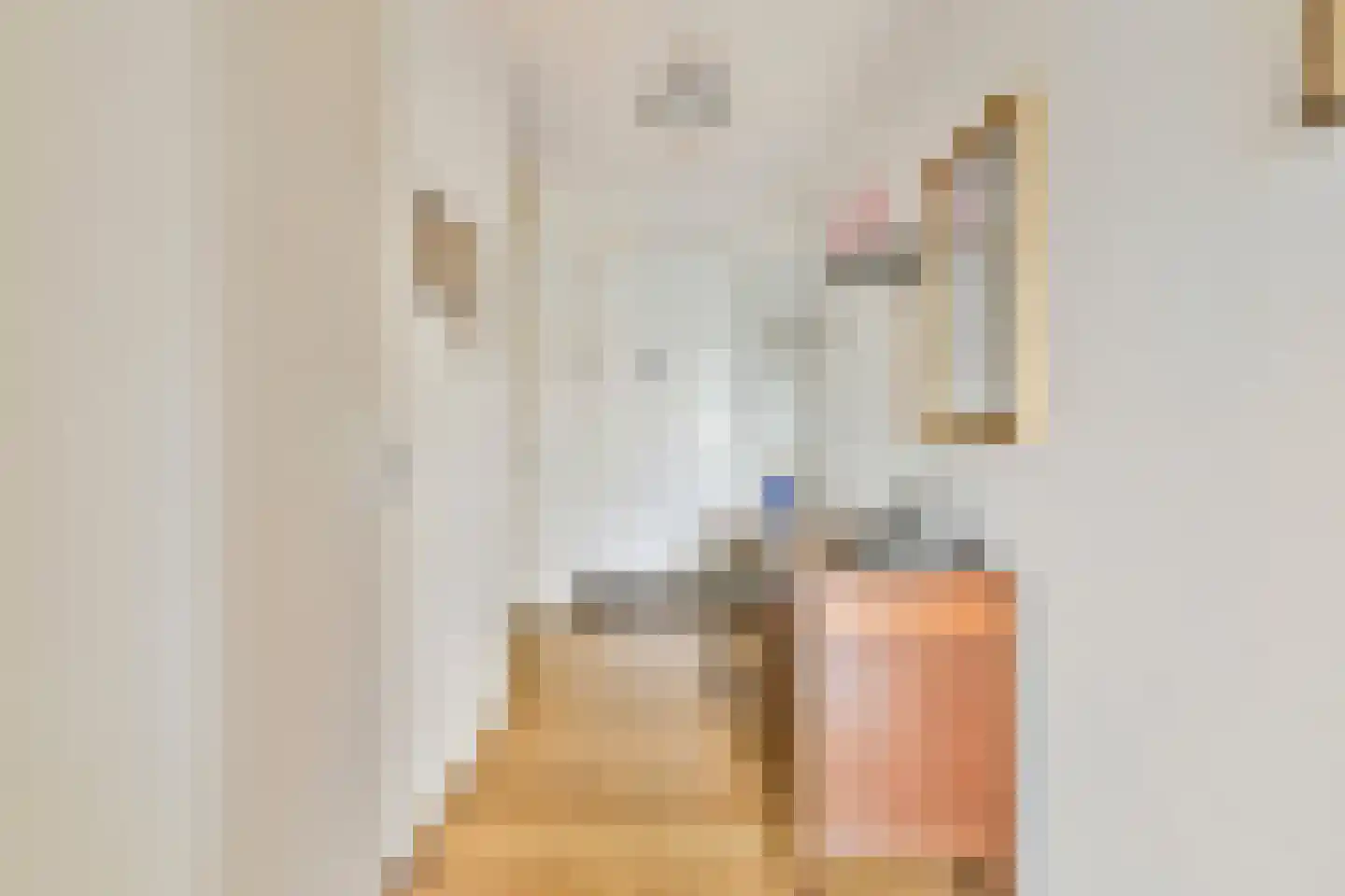 Wanmolenlaan 67 Sassenheim thumbnail 5