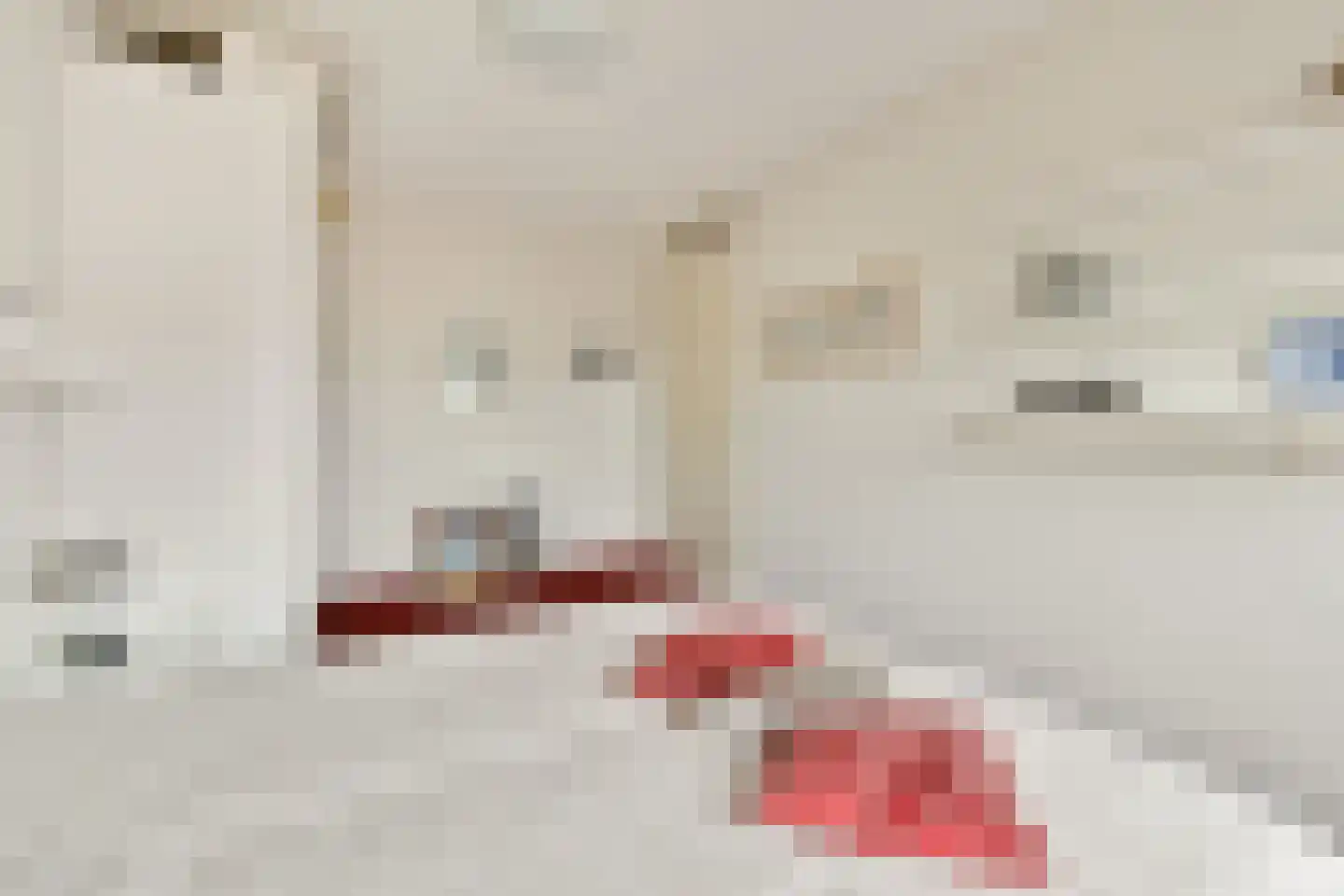 Wanmolenlaan 67 Sassenheim thumbnail 8
