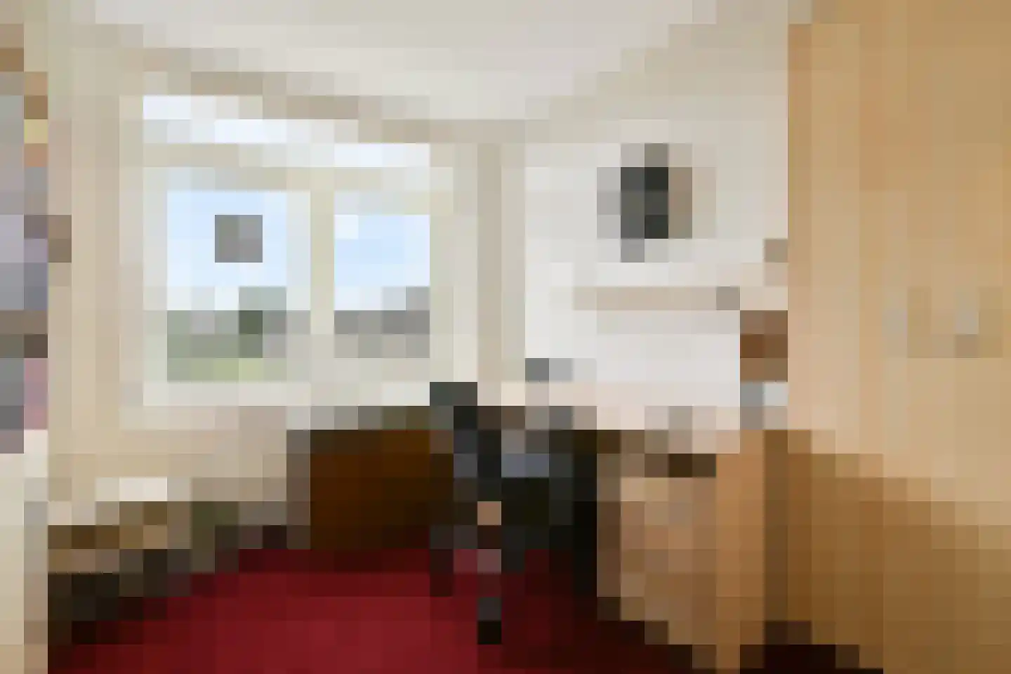 Wanmolenlaan 67 Sassenheim thumbnail 9