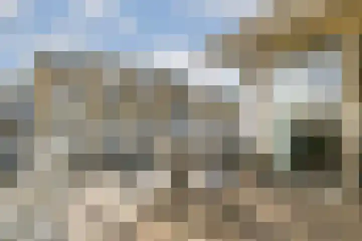 Wanmolenlaan 79 Sassenheim thumbnail 10