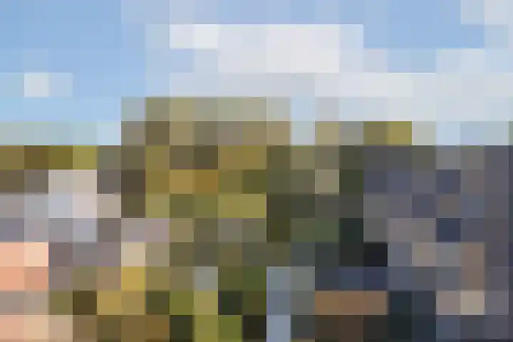 Wanmolenlaan 79 Sassenheim thumbnail 11