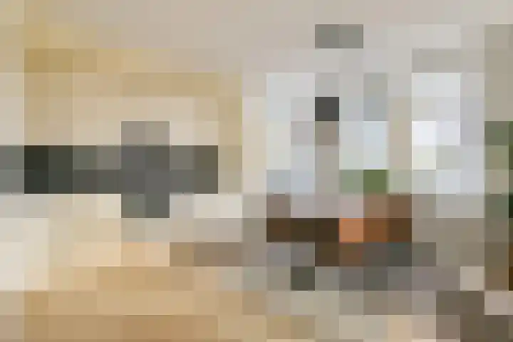 Wanmolenlaan 79 Sassenheim thumbnail 13