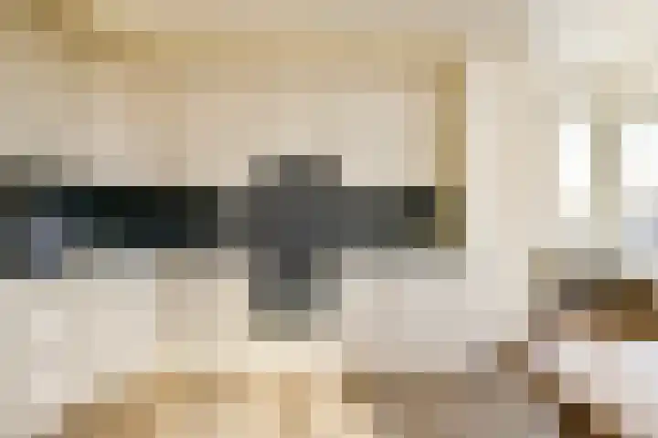 Wanmolenlaan 79 Sassenheim thumbnail 14