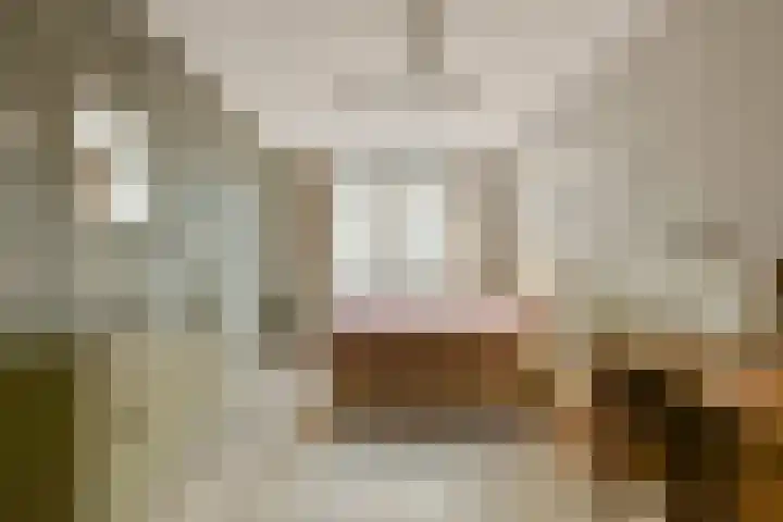 Wanmolenlaan 79 Sassenheim thumbnail 16