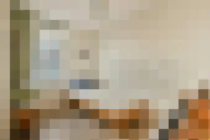 Wanmolenlaan 79 Sassenheim thumbnail 20