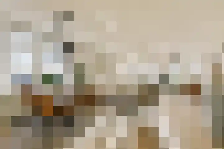 Wanmolenlaan 79 Sassenheim thumbnail 4