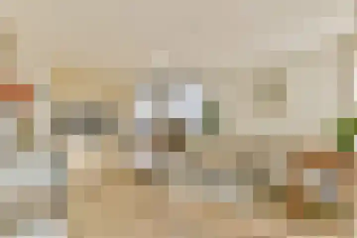 Wanmolenlaan 79 Sassenheim thumbnail 6
