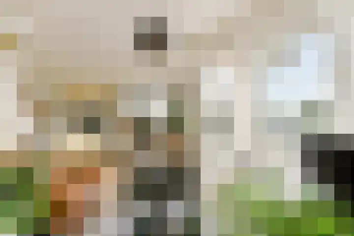 Wanmolenlaan 79 Sassenheim thumbnail 7