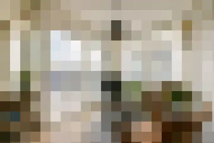 Wanmolenlaan 79 Sassenheim thumbnail 8