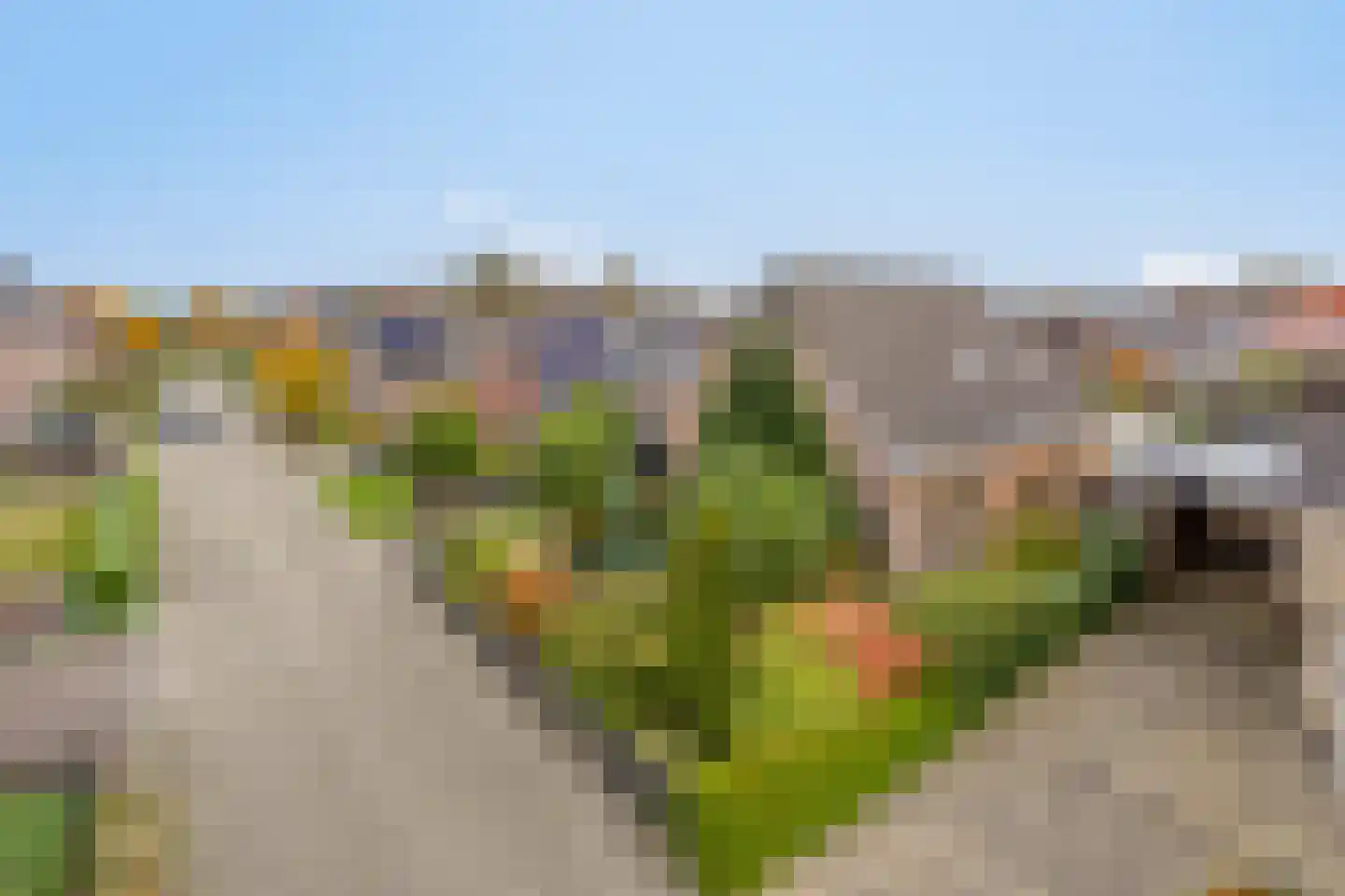 Wanne 16 Erica thumbnail 11