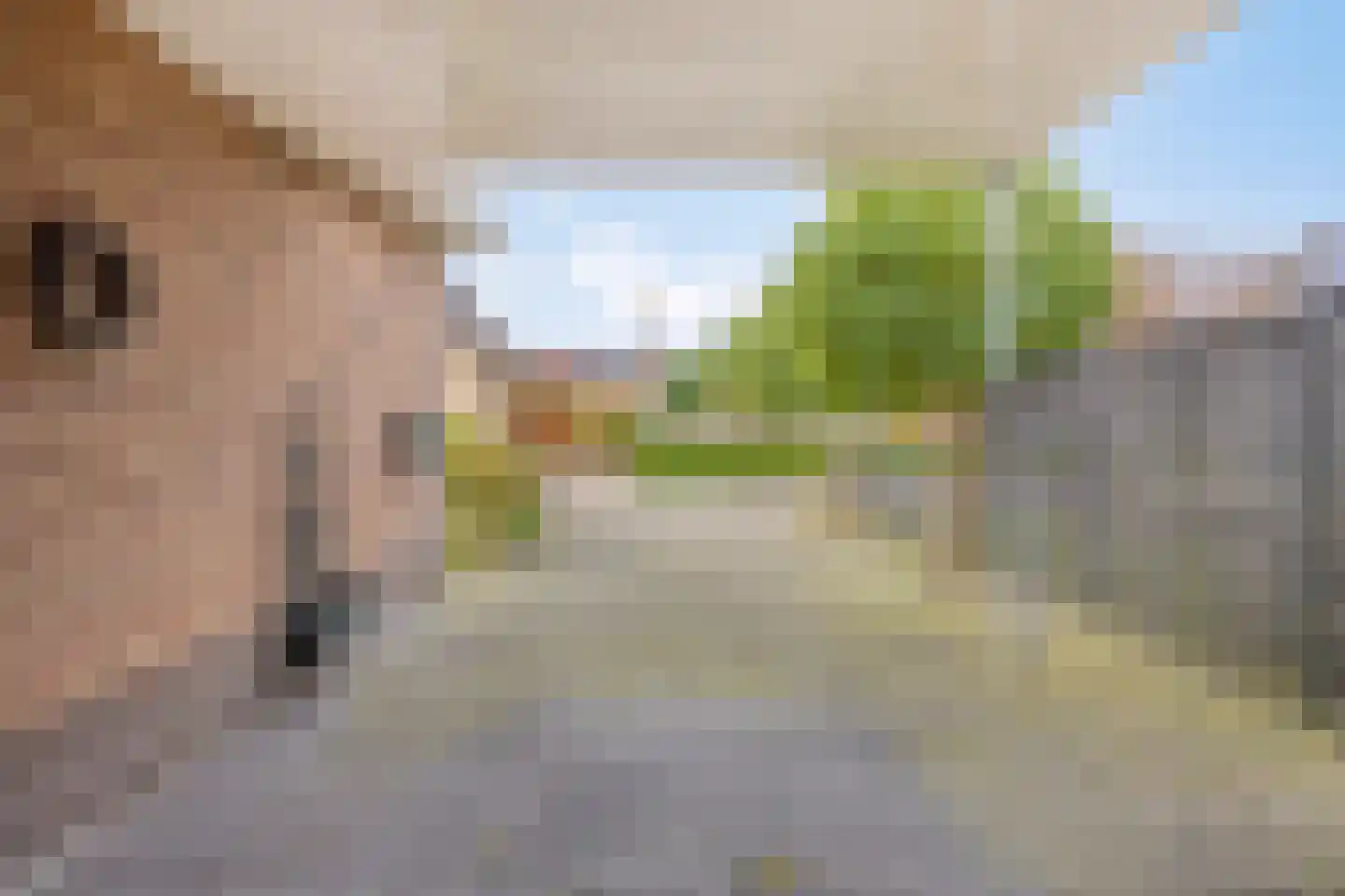 Wanne 16 Erica thumbnail 14
