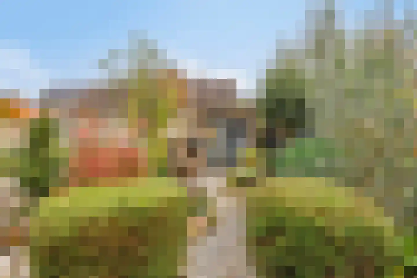 Wanne 16 Erica thumbnail 48