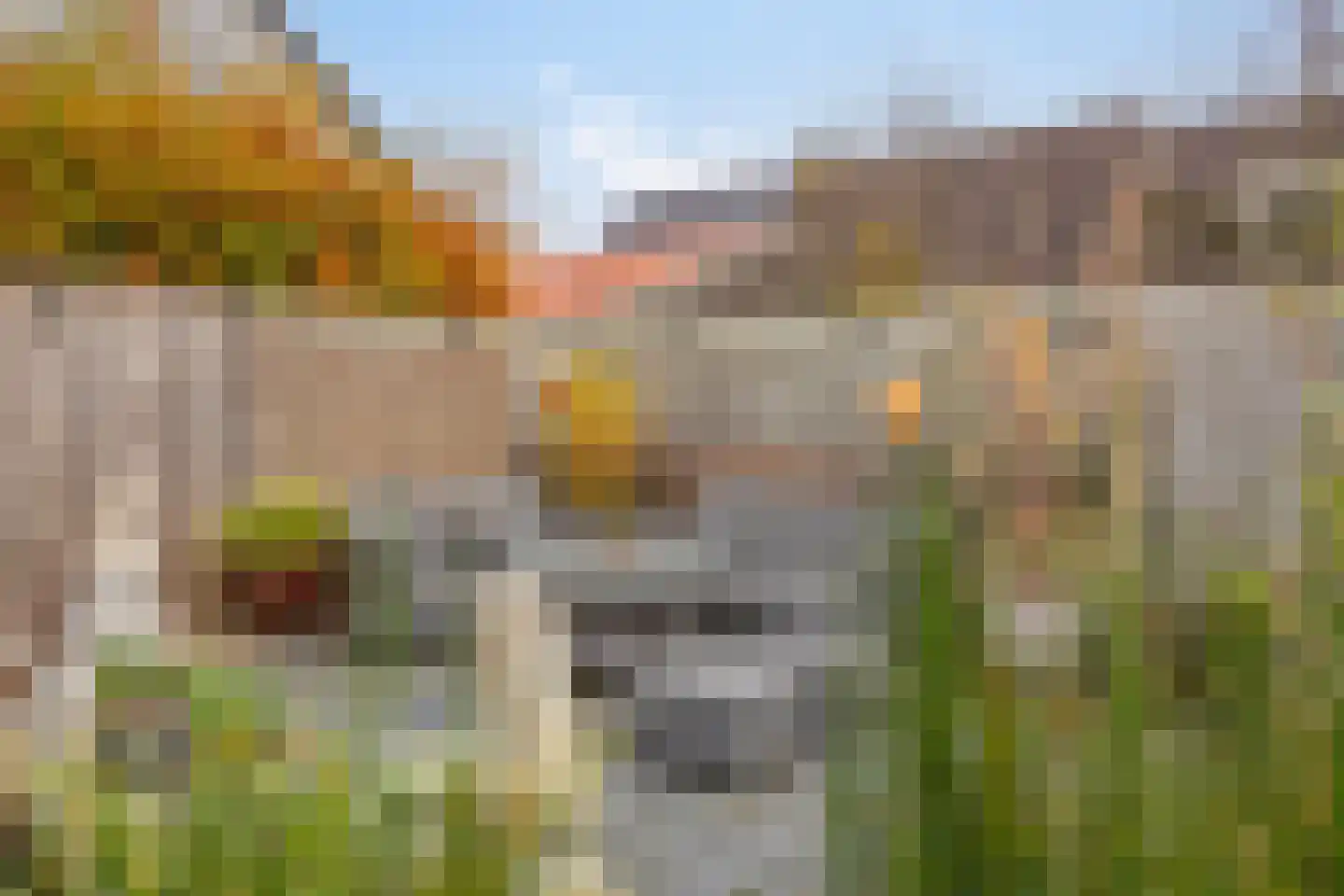 Wanne 16 Erica thumbnail 55
