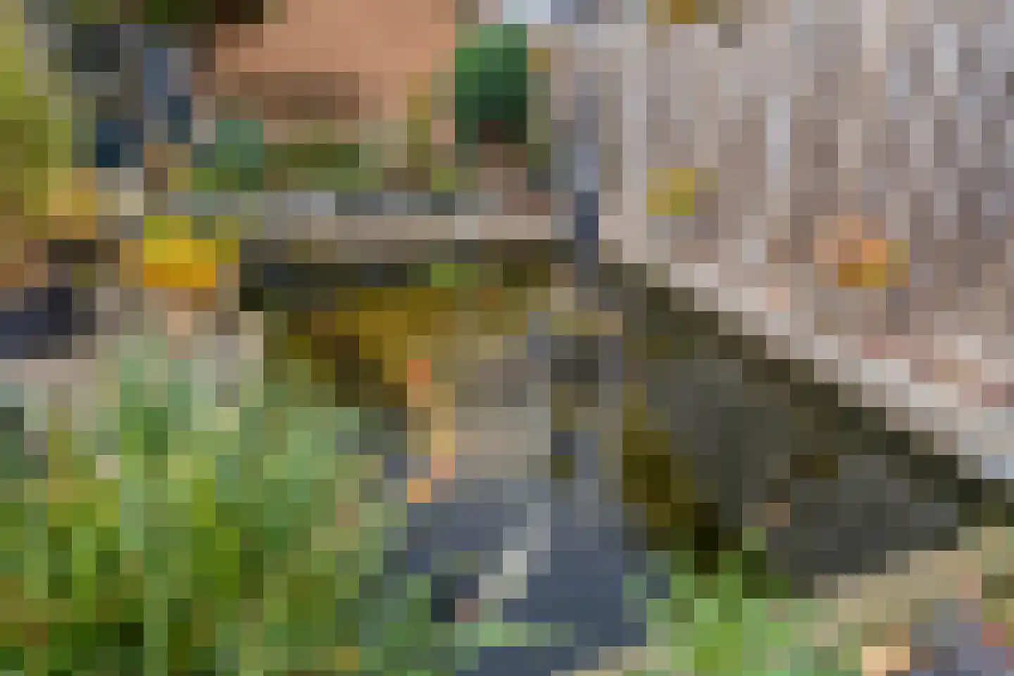 Wanne 16 Erica thumbnail 56