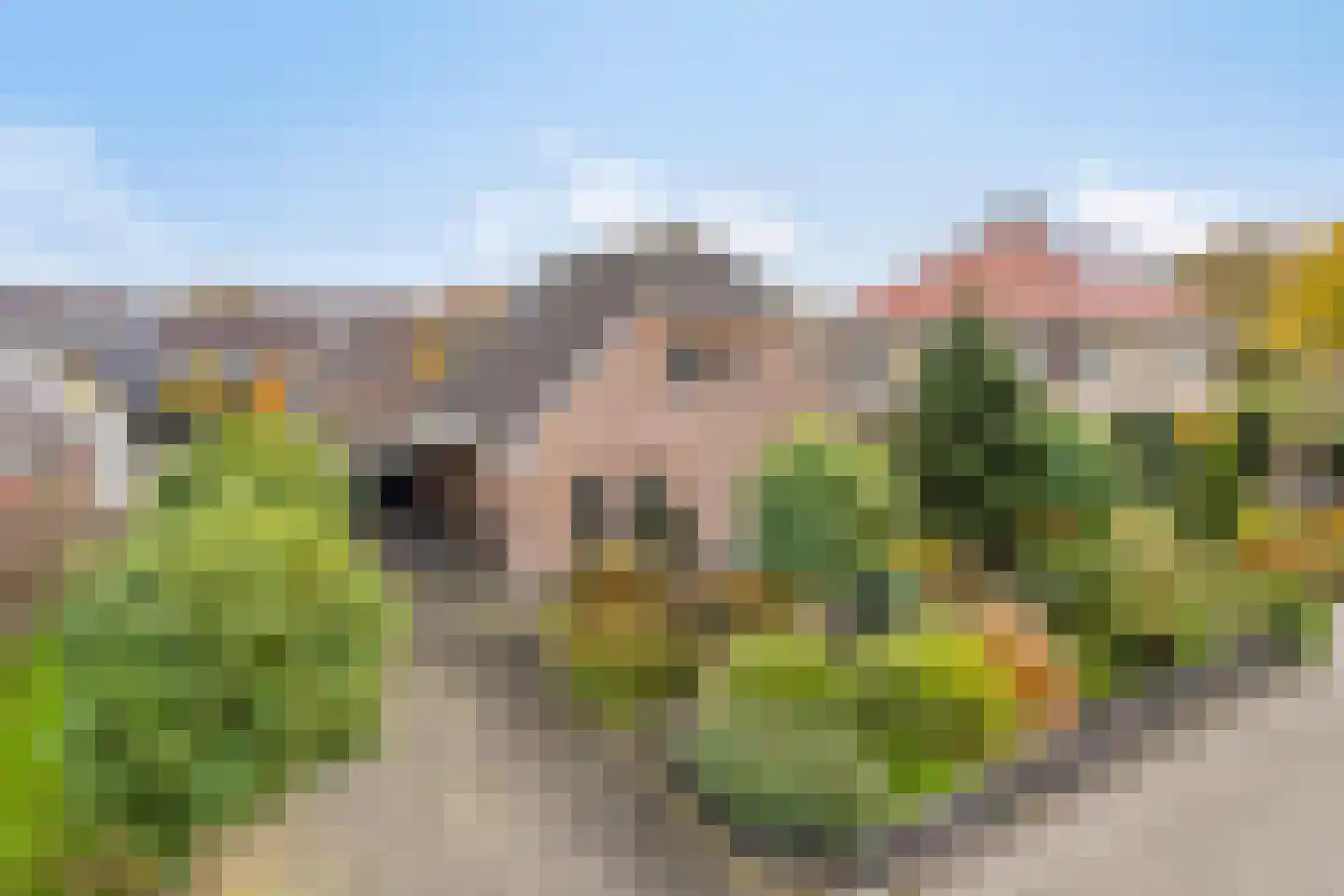 Wanne 16 Erica thumbnail 9