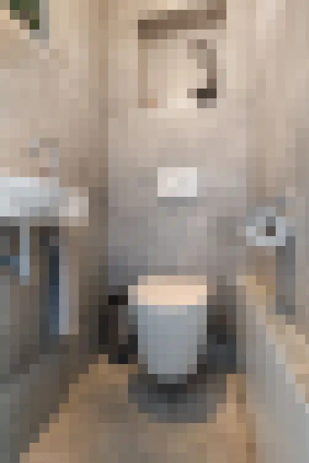 Wanne 24 Erica thumbnail 18