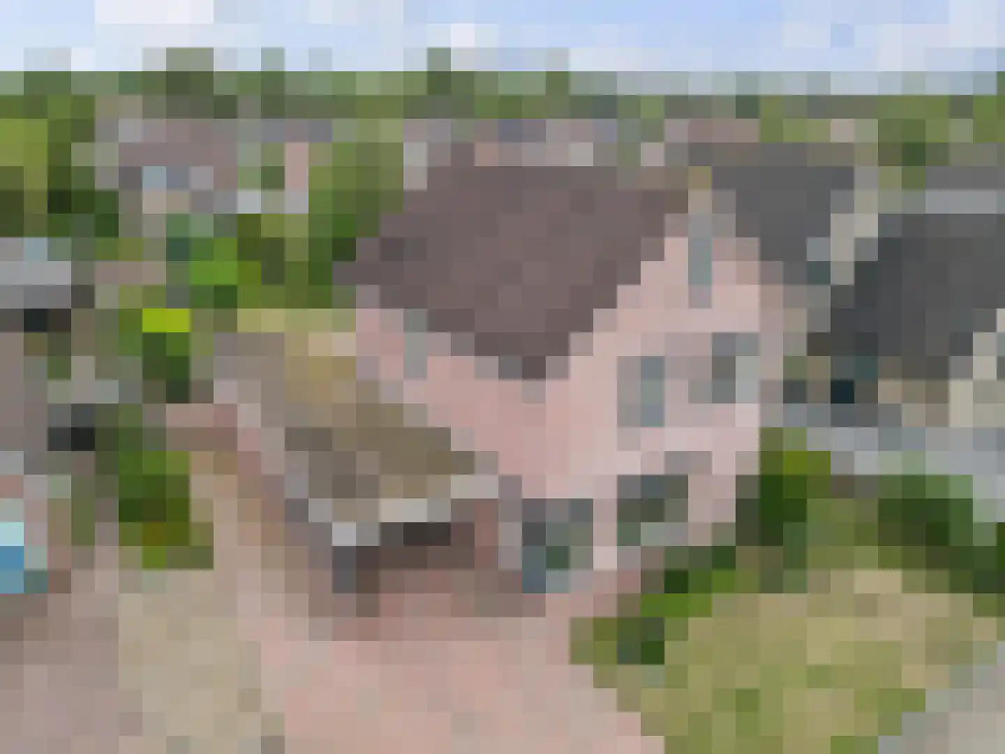 Wanne 24 Erica thumbnail 36