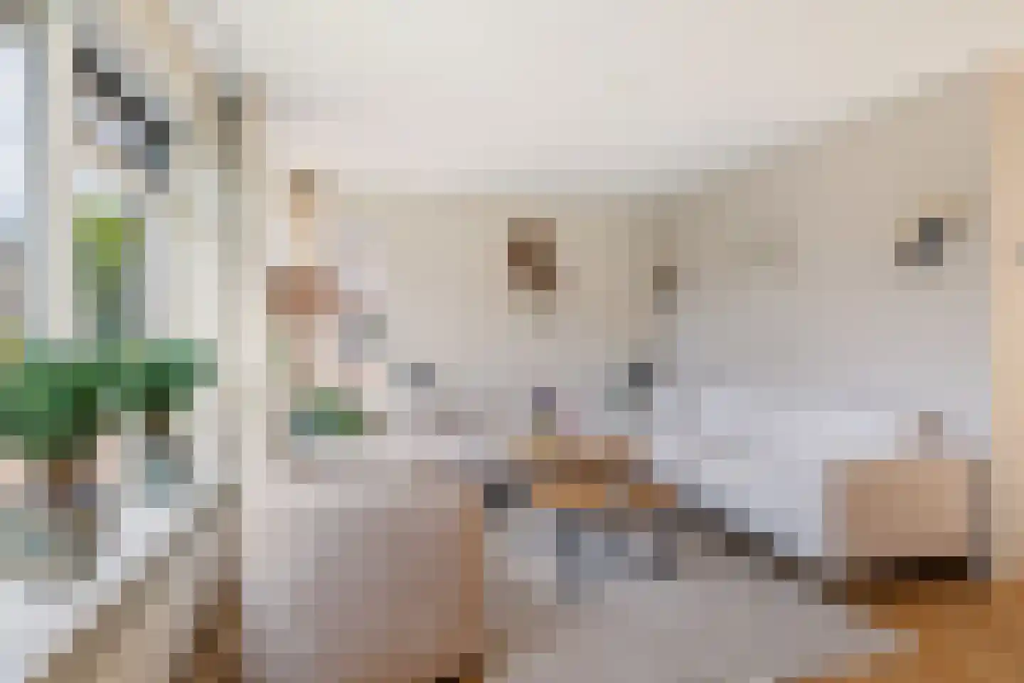 Wanne 24 Erica thumbnail 6