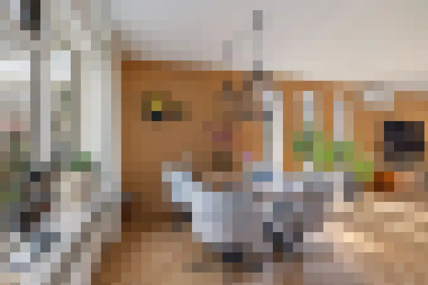 Wanne 24 Erica thumbnail 9