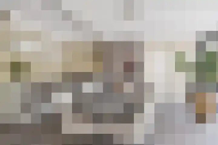 Wanne 7 Erica thumbnail 11