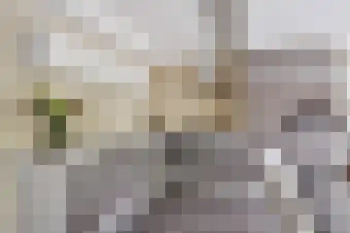 Wanne 7 Erica thumbnail 12