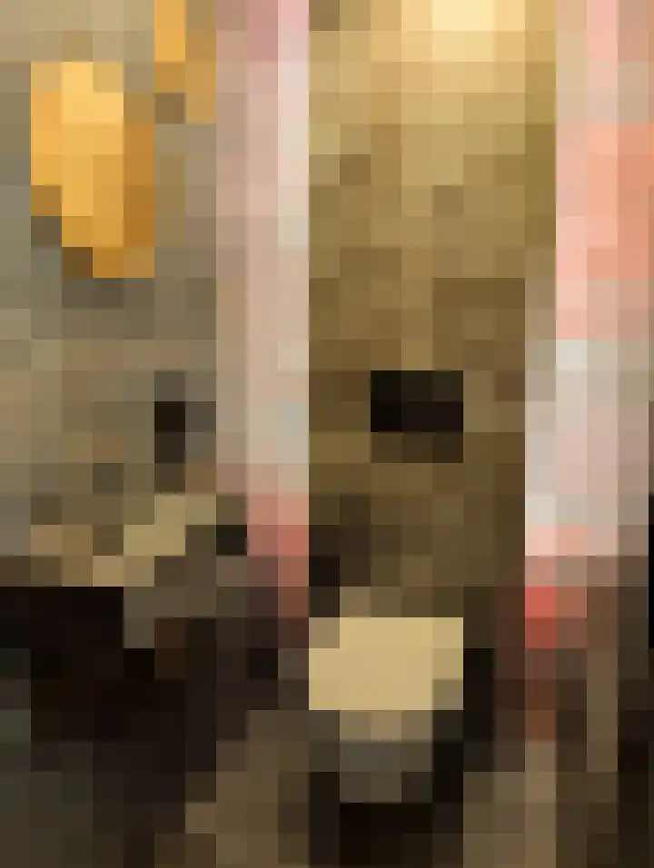 Wanne 7 Erica thumbnail 15