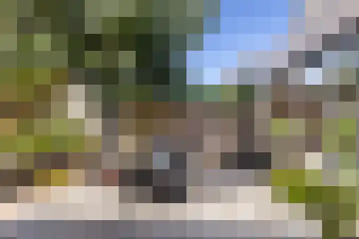 Wanne 7 Erica thumbnail 31