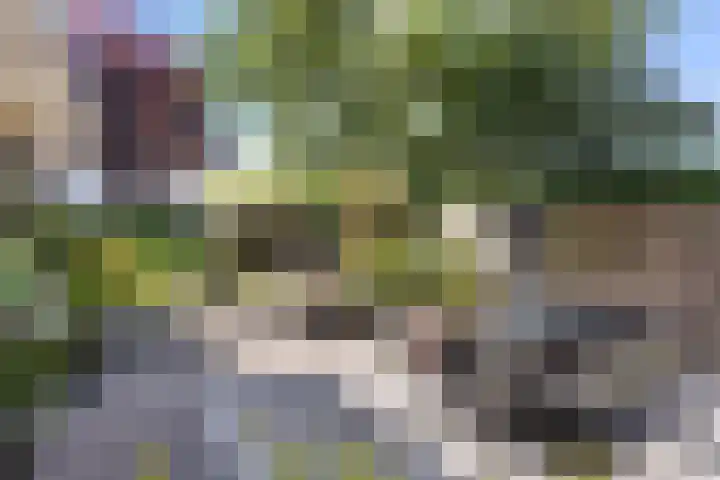 Wanne 7 Erica thumbnail 32