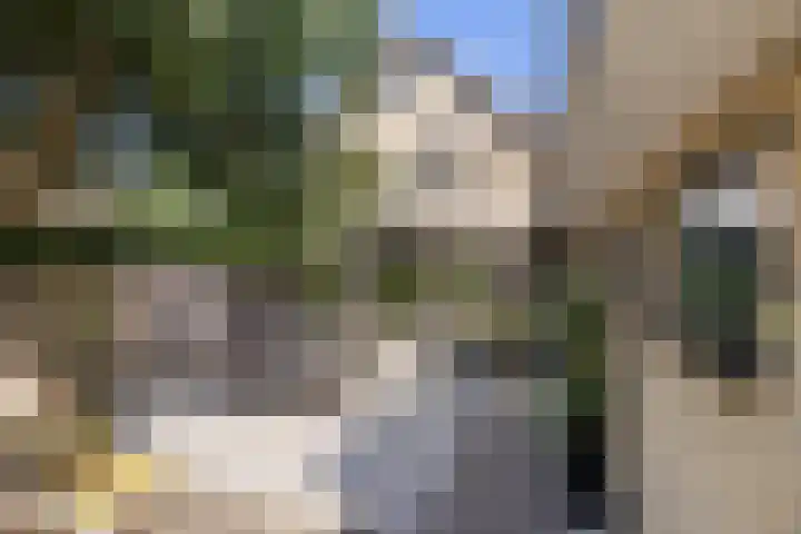 Wanne 7 Erica thumbnail 34
