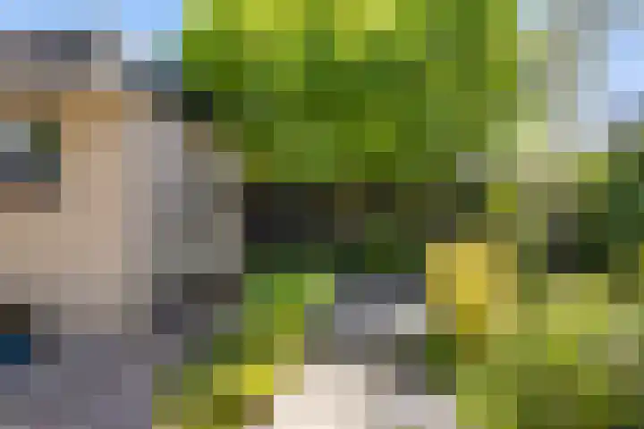 Wanne 7 Erica thumbnail 35
