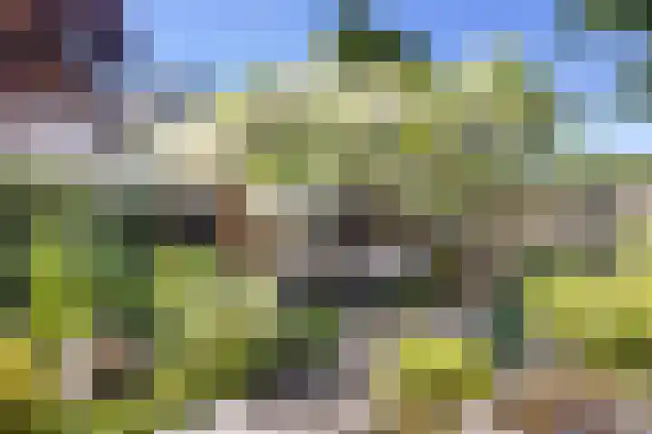Wanne 7 Erica thumbnail 36