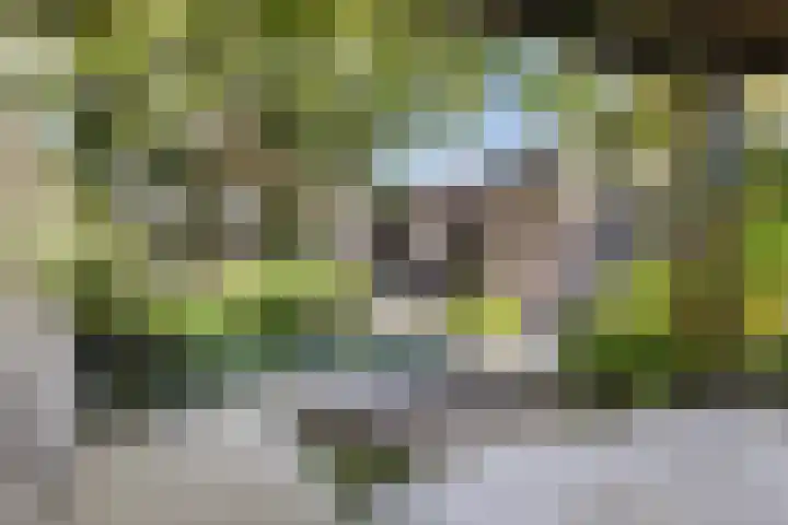Wanne 7 Erica thumbnail 37