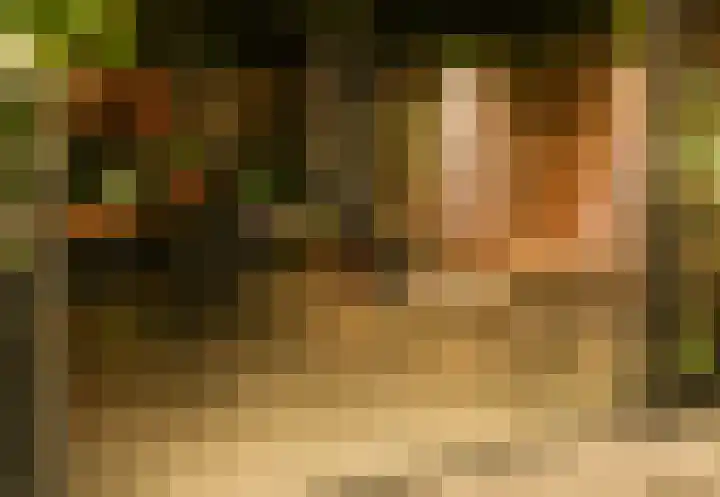 Wanne 7 Erica thumbnail 38