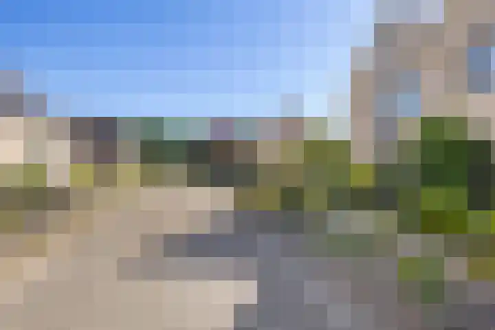 Wanne 7 Erica thumbnail 44