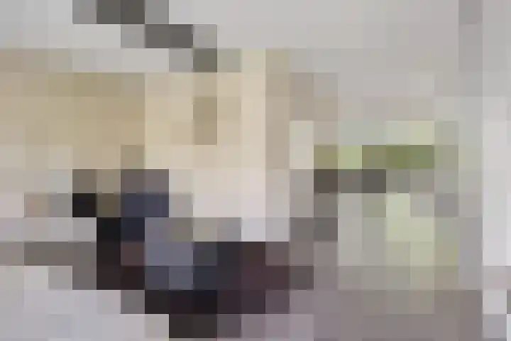 Wanne 7 Erica thumbnail 8