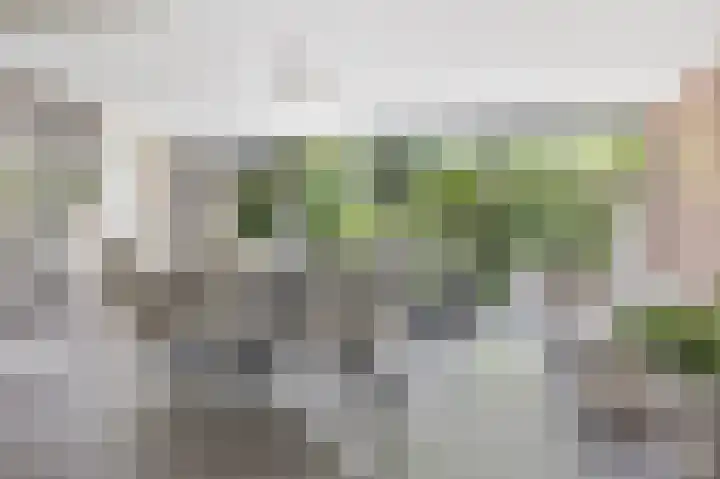 Wanne 7 Erica thumbnail 9