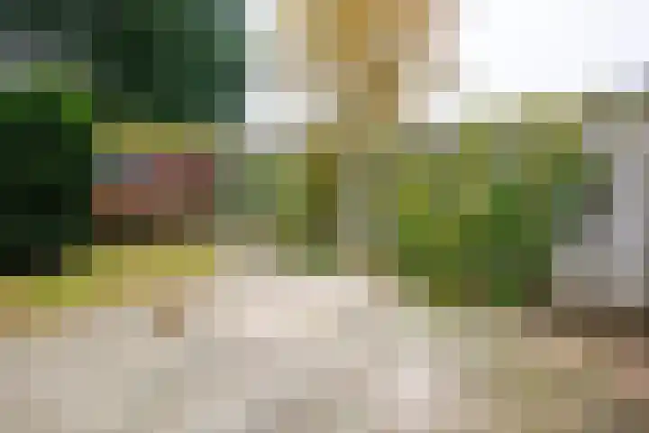 Wannedreef 29 Doetinchem thumbnail 10