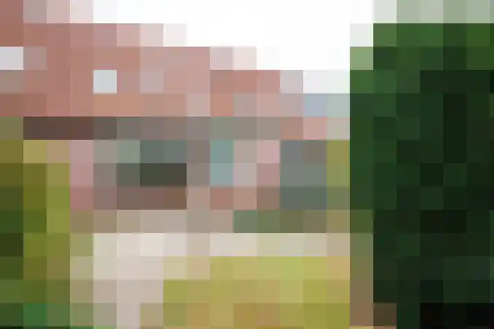 Wannedreef 29 Doetinchem thumbnail 12