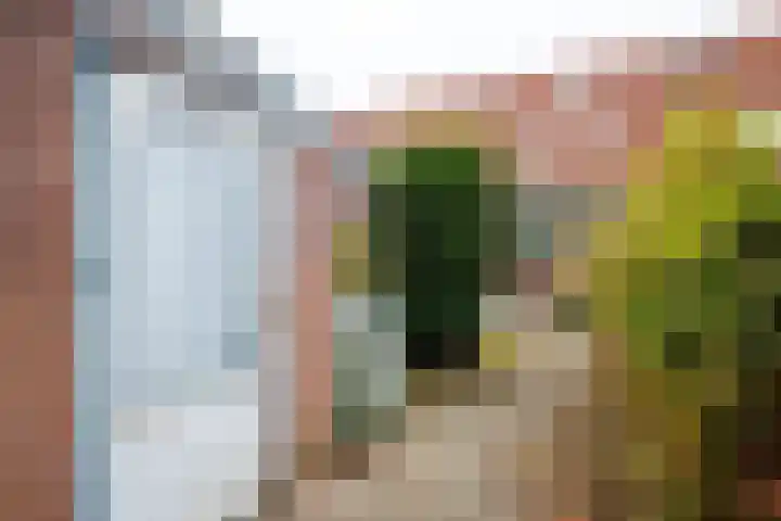 Wannedreef 29 Doetinchem thumbnail 13