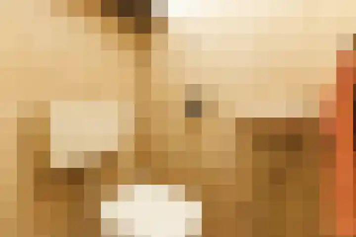 Wannedreef 29 Doetinchem thumbnail 18