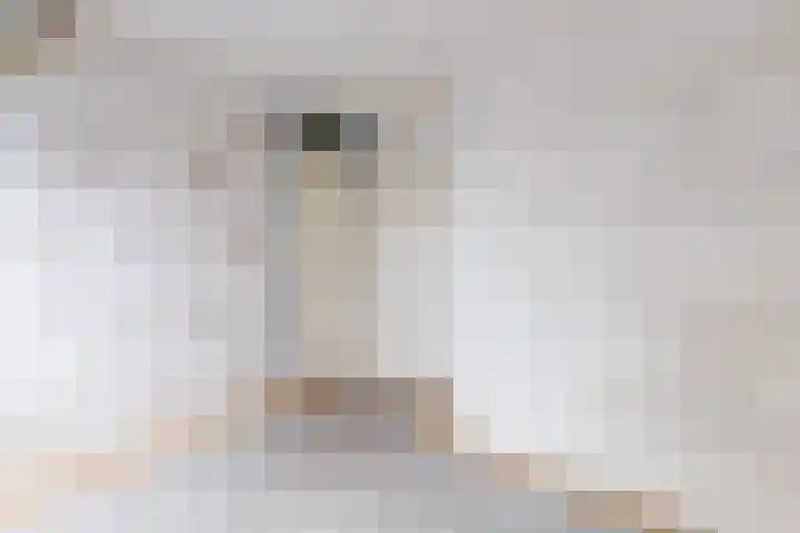 Wannedreef 29 Doetinchem thumbnail 24