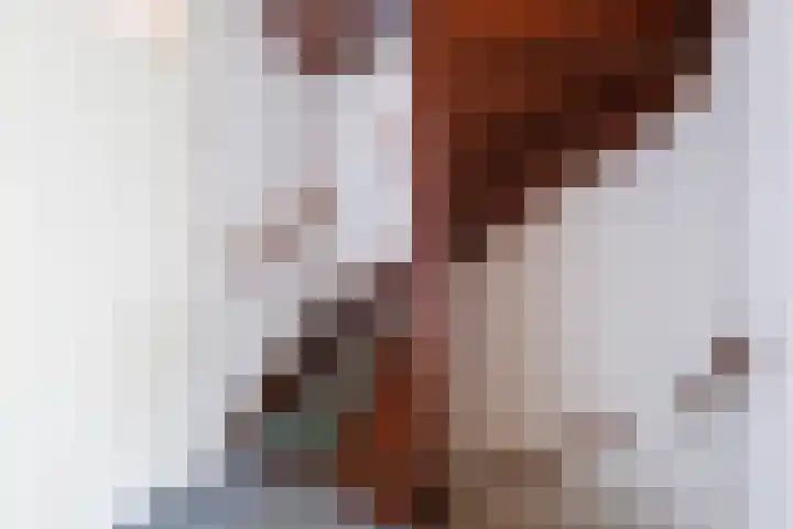 Wannedreef 29 Doetinchem thumbnail 27