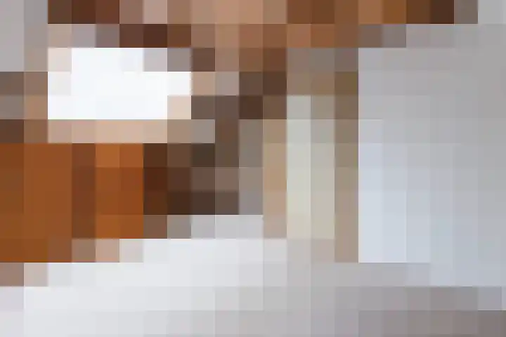 Wannedreef 29 Doetinchem thumbnail 28
