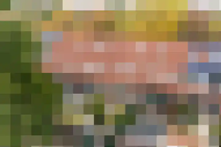Wannedreef 29 Doetinchem thumbnail 31