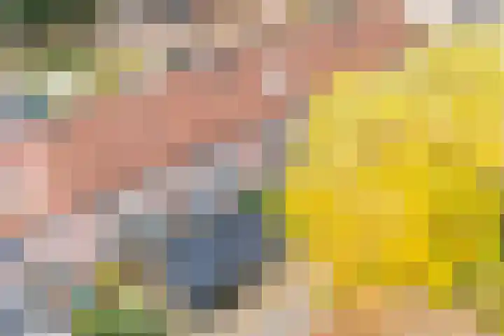 Wannedreef 29 Doetinchem thumbnail 32